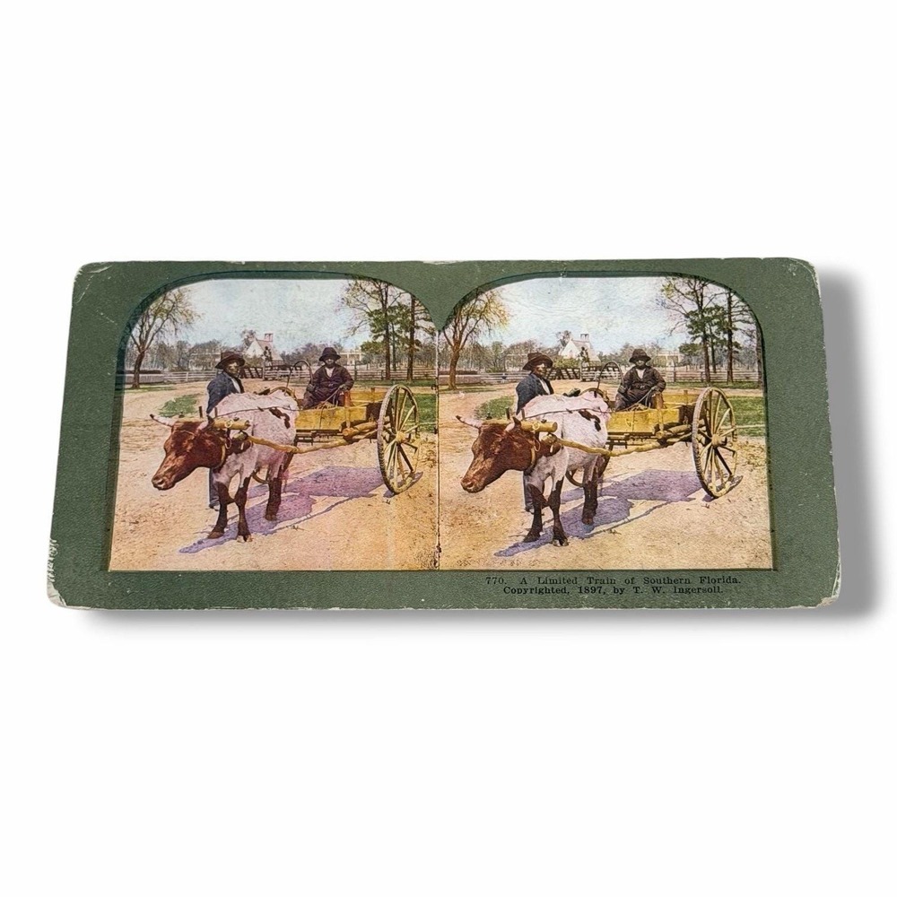 Stereoview A Limited Train of Southern Florida 1897 TW Ingersoll NBX